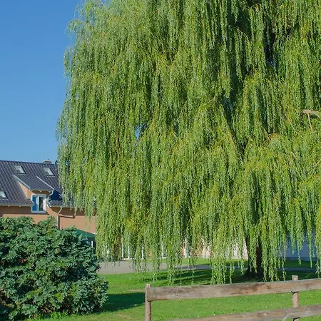 Kulturscheune In Gasthof