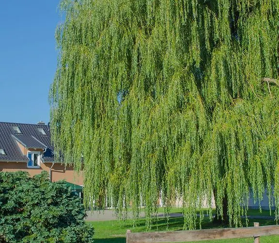 Kulturscheune In בית הארחה